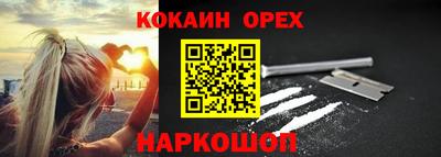 гашик Гусев